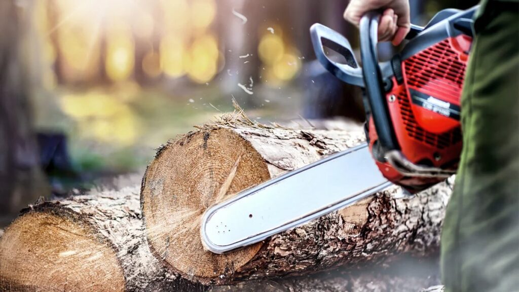 chainsaw with an 18 inch bar cutting wood, one of the things that are 18 inches long
