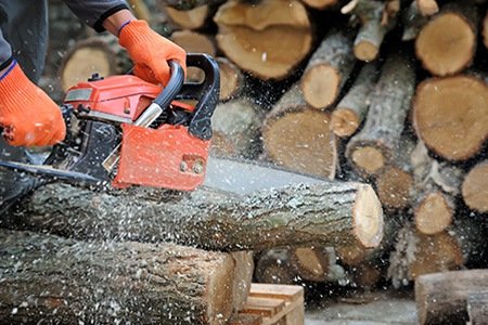 chainsaw with a 22 inch bar cutting wood, an example of things that are 22 inches long