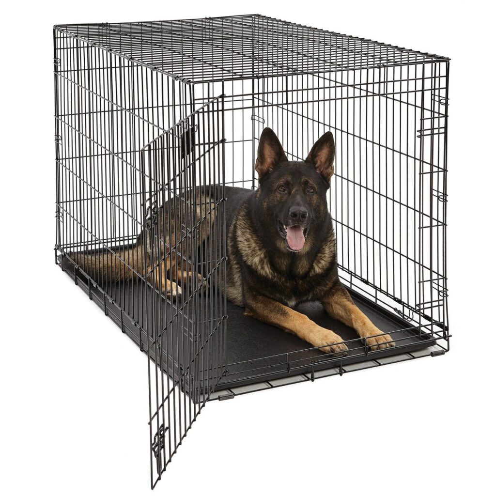 A large dog resting in a wire dog crate, an example of things that are 42 inches long